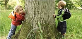 timg (2).jpg timg (2).jpg