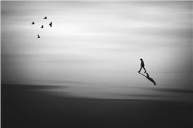 timg (39).jpg timg (39).jpg