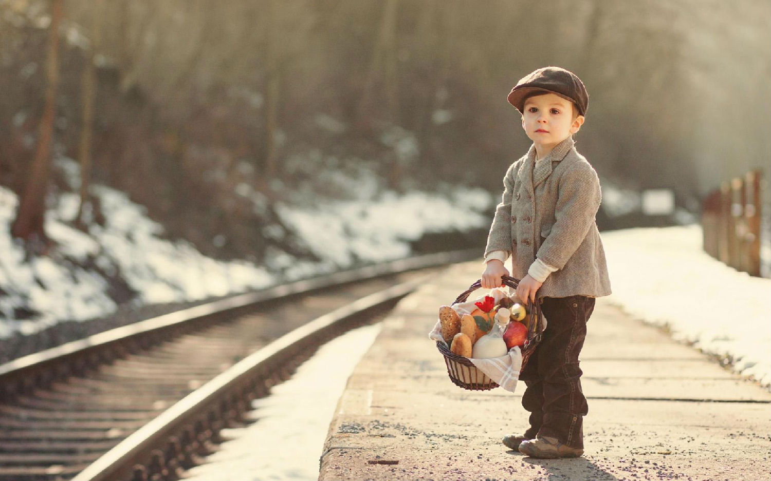 timg (3).jpg timg (3).jpg